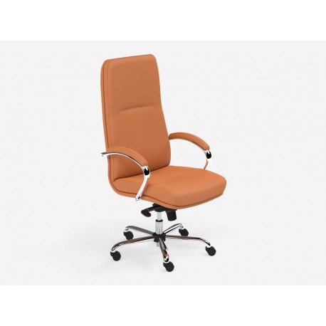 DCE-Idaho Executive High back Chair (Orange) 